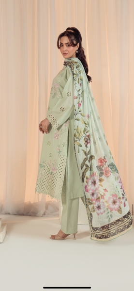 Mint Elegance Chicken Kari 3-Piece Silk Dupatta Suit