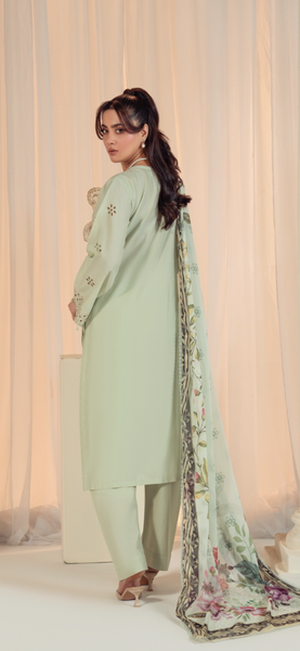 Mint Elegance Chicken Kari 3-Piece Silk Dupatta Suit