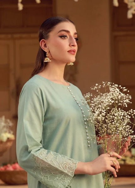 Sage Serenity Embroidered 2-Piece Lawn Suit