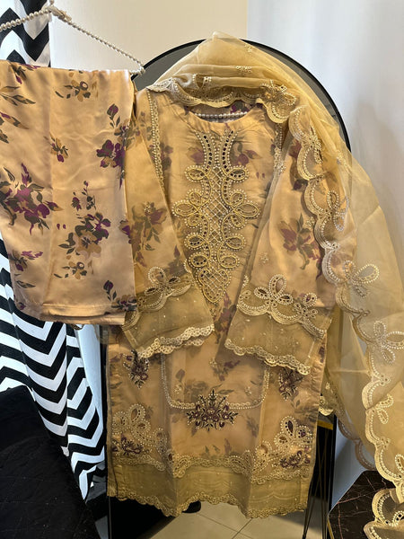 Embroidered Organza 3-Piece Set – Soft Sandstone Glow