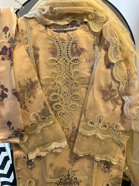 Embroidered Organza 3-Piece Set – Soft Sandstone Glow